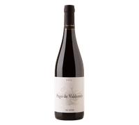 Bierzo Pago de Valdoneje Mencía 2024