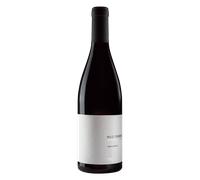 Bierzo Pico Ferreira 2024