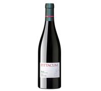 Bierzo Pittacum 2020