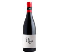 Bierzo Ultreia Mencía 2022