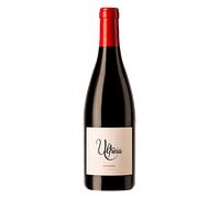 Bierzo Ultreia Paluezas 2022
