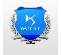 BIESL Emblema Adhesivo Metálico para Citroen DS3 DS4 DS5 DS6 DS7 DS9, Coche de Pegatinas Decorativas para Carrocería Adhesivo Calcomania Car Accesorios Tuning,Blue Silver