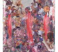 Biffy Clyro - Unknown Male 01 (LP)