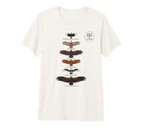 Big 6 Birds Parque Nacional Kruger Vida Silvestre Africana Camiseta Premium