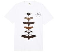 Big 6 Birds Parque Nacional Kruger Vida Silvestre Africana Comfort Colors Adult Heavyweight T-Shirt