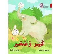 Big and Small: Level 2 (KG) (Collins Big Cat Arabic Reading Programme)