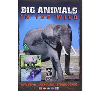 Big Animals - Big Animals in the World [Italia] [DVD]