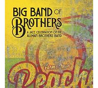 Big Band of Brothers - A Jazz Celebration of the Allman Brothers Band (COLOR VINYL) [Vinilo]