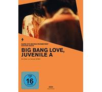 Big Bang Love, Juvenile A (OmU) - Edition Asien [Alemania] [DVD]