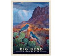 Big Bend National Park: Birds - Póster vintage de 1000 piezas, hecho en Estados Unidos