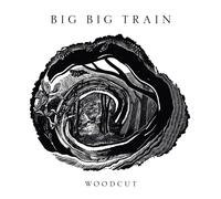 BIG BIG TRAIN - Woodcut (2026) CD Preventa