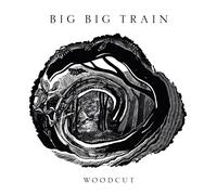 Big Big Train Woodcut (Vinyl) 12" Album (Gatefold Cover) (Importación USA)
