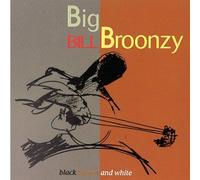 Big Bill Broonzy - Black Brown And White