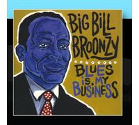 Big Bill Broonzy - Blues Is My Business