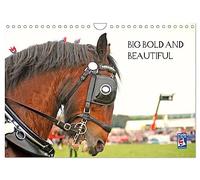 BIG BOLD AND BEAUTIFUL (Wall Calendar 2026 DIN A4 landscape), CALVENDO 12 Month Wall Calendar: The Essential Heavy Horse