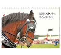 BIG BOLD AND BEAUTIFUL (Wall Calendar 2027 DIN A4 landscape), CALVENDO 12 Month Wall Calendar: The Essential Heavy Horse