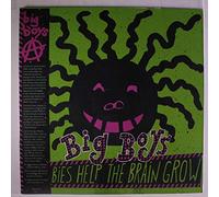 Big Boys - Lullabies Helpthe Brain Grow [Vinilo]