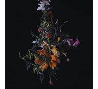 Big|Brave - Nature Morte