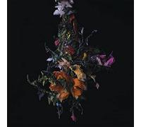 Big|Brave - Nature Morte