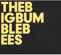 Big Bumble Bees - The Big Bumble Bees [Vinilo]