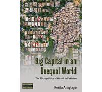Big Capital in an Unequal World: The Micropolitics of Wealth in Pakistan: 29 (Dislocations, 29)