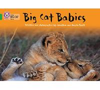 Big Cat Babies: This non-chronological report is packed with facts about big cats. (Collins Big Cat)