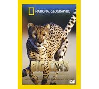 Big Cats - Cheetahs The Deadly Race [Reino Unido] [DVD]