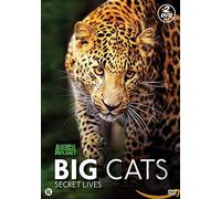 Big Cats [Edizione: Paesi Bassi] [Italia] [DVD]