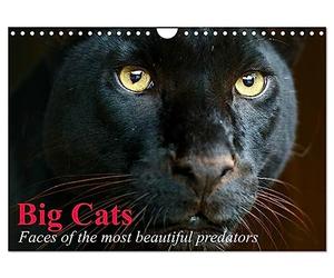 Big Cats ¿ Faces of the most beautiful predators (Wall Calendar 2026 DIN A4 landscape), CALVENDO 12 Month Wall Calendar: The world's biggest and most beautiful cats