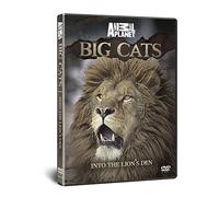 BIG CATS: Into The Lion's Den [DVD] [Reino Unido]