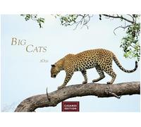 Big Cats Kalender 2026 35x50cm Grosses Format - Wunderschöner Großkatzen-Wandkalender mit beeindruckenden Fotos von Tiger| Löwen | Jaguar | Gepard | Luchs | Puma.