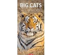 Big Cats Kalender 2027: Große Raubkatzen porträtiert in einem XL Wandkalender. Länglicher Kalender mit ausdrucksstarken Fotos von Löwe, Tiger und Co. 33 x 68 cm Hochformat