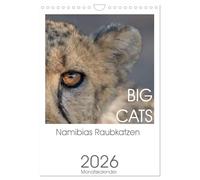 BIG CATS - Namibias Raubkatzen (Wandkalender 2026 DIN A4 hoch), CALVENDO Monatskalender: Löwen, Leoparden und Geparden: Namibias faszinierende Raubkatzen