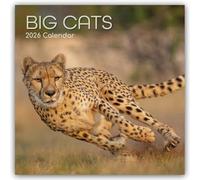 Big Cats - Raubkatzen - Löwen Tiger Geparden Leoparden 2026 - 16-Monatskalender: Original The Gifted Stationery Co. Ltd [Mehrsprachig] [Kalender]