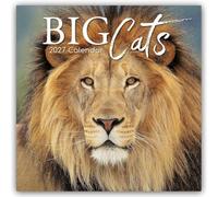 Big Cats - Raubkatzen - Löwen Tiger Geparden Leoparden 2027 - 16-Monatskalender: Original The Gifted Stationery Co. Ltd [Mehrsprachig] [Kalender]