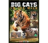 Big Cats [Reino Unido] [DVD]