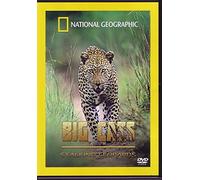 Big Cats - Stalking Leopards [Reino Unido] [DVD]