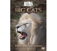 BIG CATS: White Lions: King of Kings [DVD] [Reino Unido]