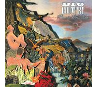 Big Country - Peace in Our Time (1988) [Import] [Vinilo]