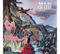 BIG COUNTRY - PEACE IN OUR TIME LP (VINYL) UK MERCURY 1988