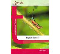 Big Data aplicado: Big Data aplicado (SIN COLECCION)