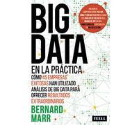 BIG DATA en la práctica: Cómo 45 empresas exitosas han utilizado análisis de big data para ofrecer resultados extraordinarios (SIN COLECCION)