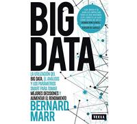 Big Data: La utilización del Big Data, el análisis y los parámetros SMART para tomar mejores decisiones y aumentar el rendimiento (SIN COLECCION)