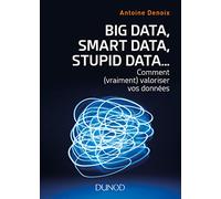 Big Data, Smart Data, Stupid Data...: Comment (vraiment) valoriser vos données. Petit manuel à l'usage de ceux qui veulent accélerer et réussir