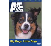 Big Dogs Little Dogs [USA] [DVD]