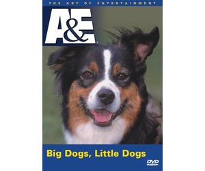 Big Dogs Little Dogs [USA] [DVD]