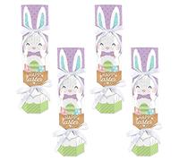 Big Dot of Happiness Conejo de Pascua de primavera - No Snap Happy Easter Party Party Party Table Favors - Cajas de galletas DIY - Juego de 12