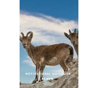 Big Dreams Come True: A Productivity Notebook For Turning Ideas Into Action