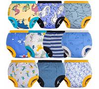BIG ELEPHANT Calzoncillos de Entrenamiento para niños pequeños, 100% algodón, 10 Unidades, 2T