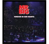 BIG FINISH LIVE T-シャツ(Nick D'Virgilio) サイズ M &『Forever In Our Hearts』 シングルCD（輸入盤）